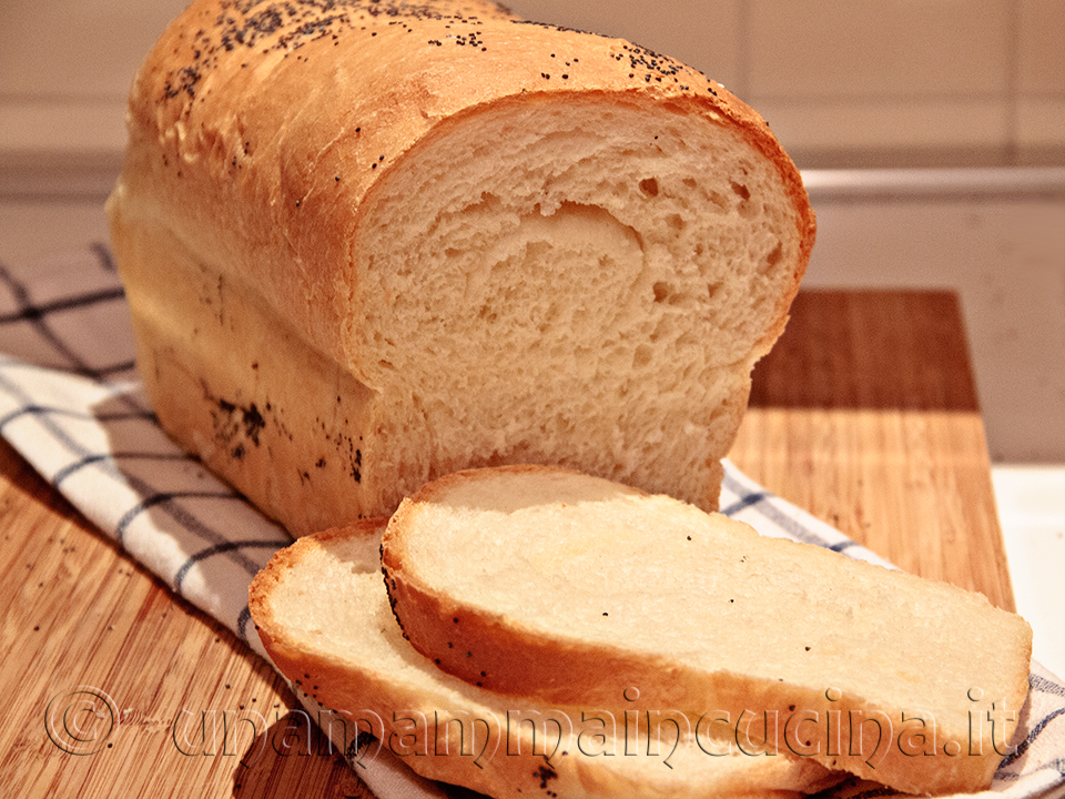 Pan Bauletto - Pane Morbido In Cassetta tipo quello del Mulino Bianco